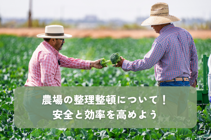 農場の整理整頓について！安全と効率を高めよう！